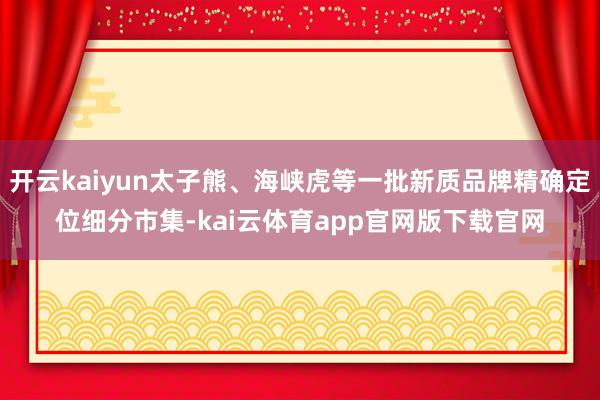 开云kaiyun太子熊、海峡虎等一批新质品牌精确定位细分市集-kai云体育app官网版下载官网
